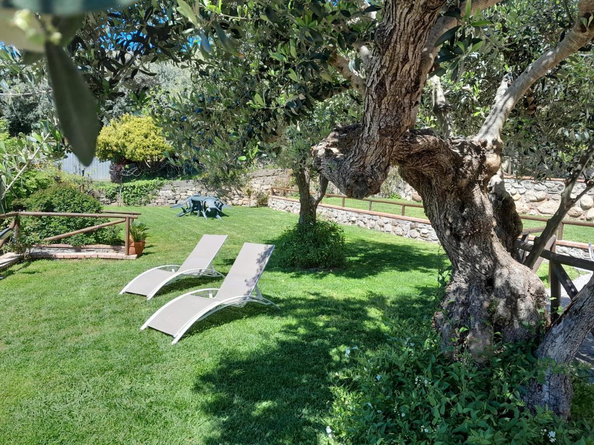 Marina Di Casal Velino Casa Vacanze Dominellaヴィラ エクステリア 写真